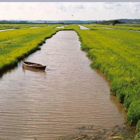 Central, Moderno E Luminoso - Self Check In Lejlighed Coimbra