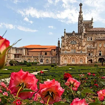 Lejlighed Central, Moderno E Luminoso - Self Check In *