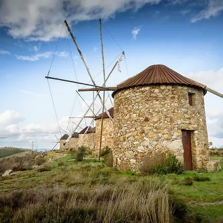 Central, Moderno E Luminoso - Self Check In Lejlighed