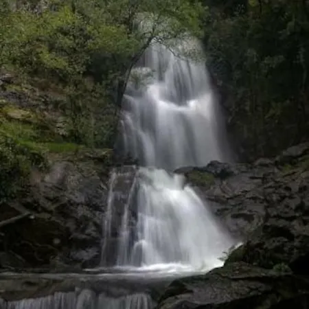 Central, Moderno E Luminoso - Self Check In * Coimbra