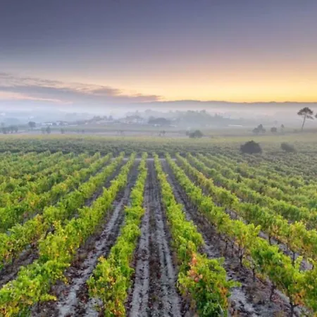 Central, Moderno E Luminoso - Self Check In Coimbra