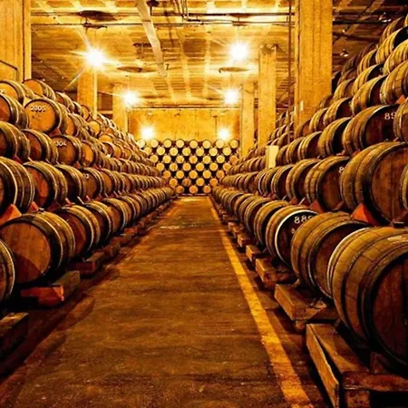 Central, Moderno E Luminoso - Self Check In