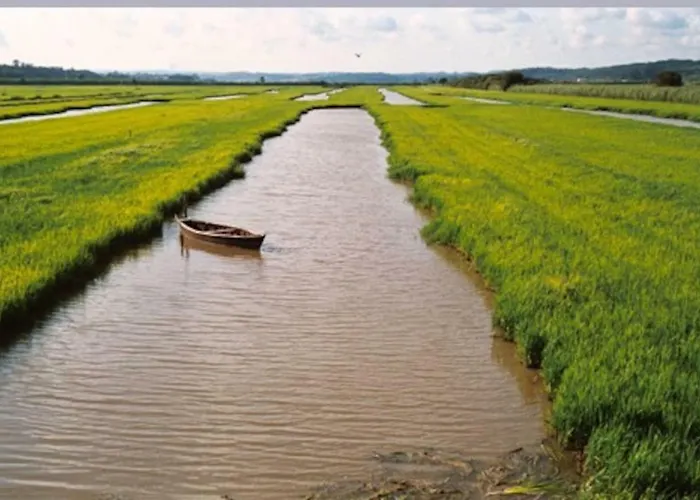 Central, Moderno E Luminoso - Self Check In アパート コインブラ