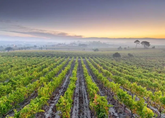 Central, Moderno E Luminoso - Self Check In コインブラ